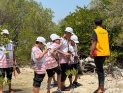 Field Trip Science Athirah: Menanam Mangrove, Menjaga Masa Depan Lingkungan