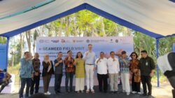 OJK Dorong Inklusi Keuangan Petani Rumput Laut Melalui Implementasi E-Seaweed 