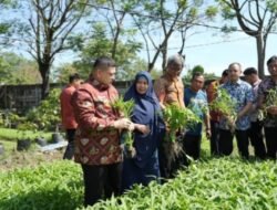 Oase Mandiri Pangan di Lorong Cerekang