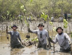Perkuat Ekosistem Pesisir Pangkep, Kalla Toyota Tanam 43.000 Pohon Mangrove dalam Rangka HUT KALLA ke-74