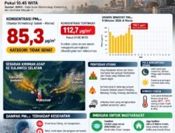 BPBD Makassar Imbau Warga Waspada Kabut Asap, BMKG Catat PM2.5 di Maros Masuk Kategori Tidak Sehat